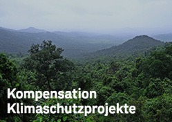 Regenwald - Kompensation durch die Förderung von Klimaschutzprojekten